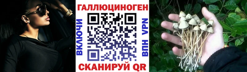 Купить закладки  Шарыпово  Галлюциногенные грибы ЛСД 